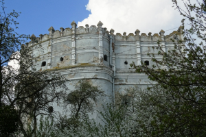 Луцька вежа, Острог